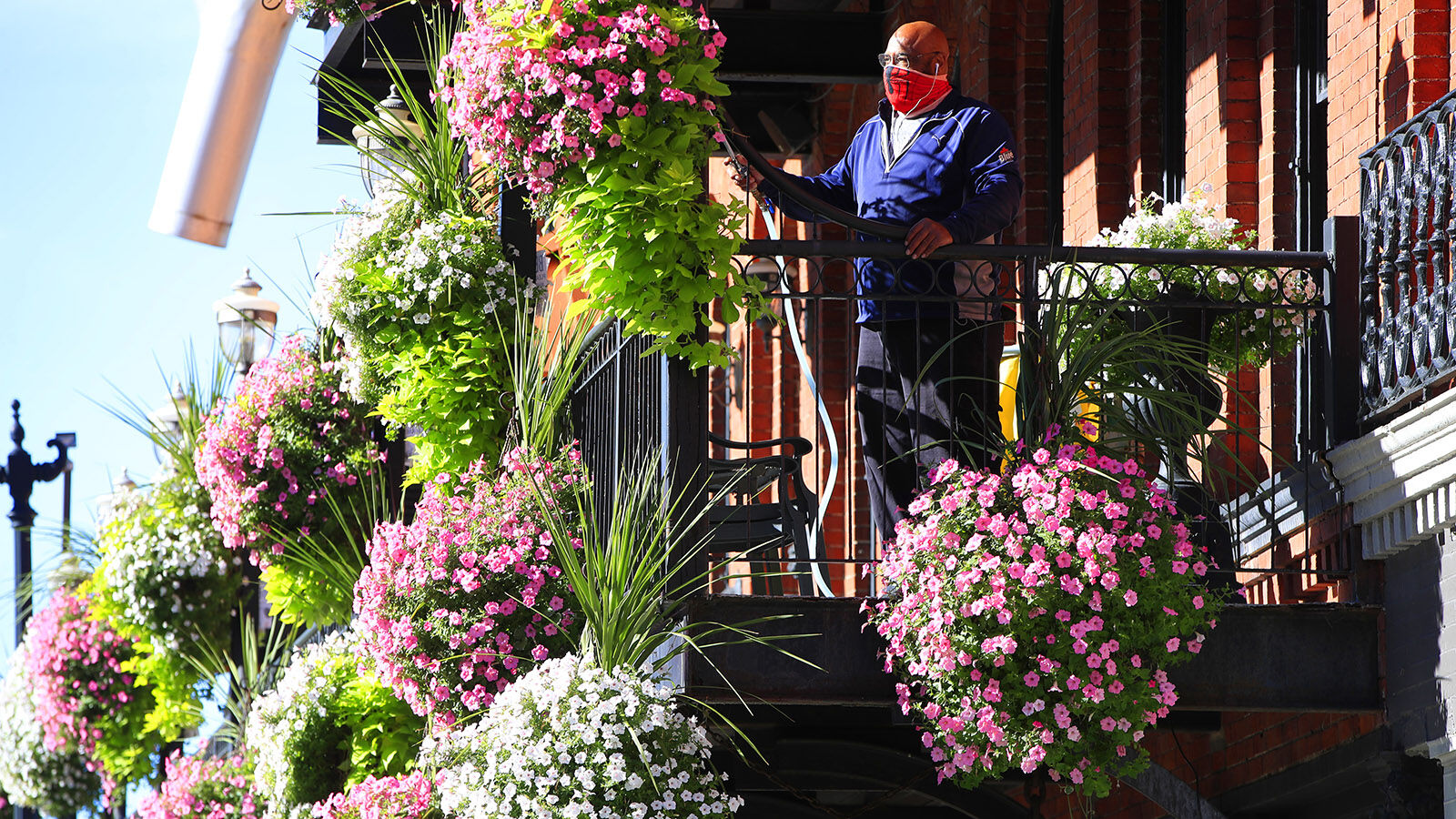 Flowers galore